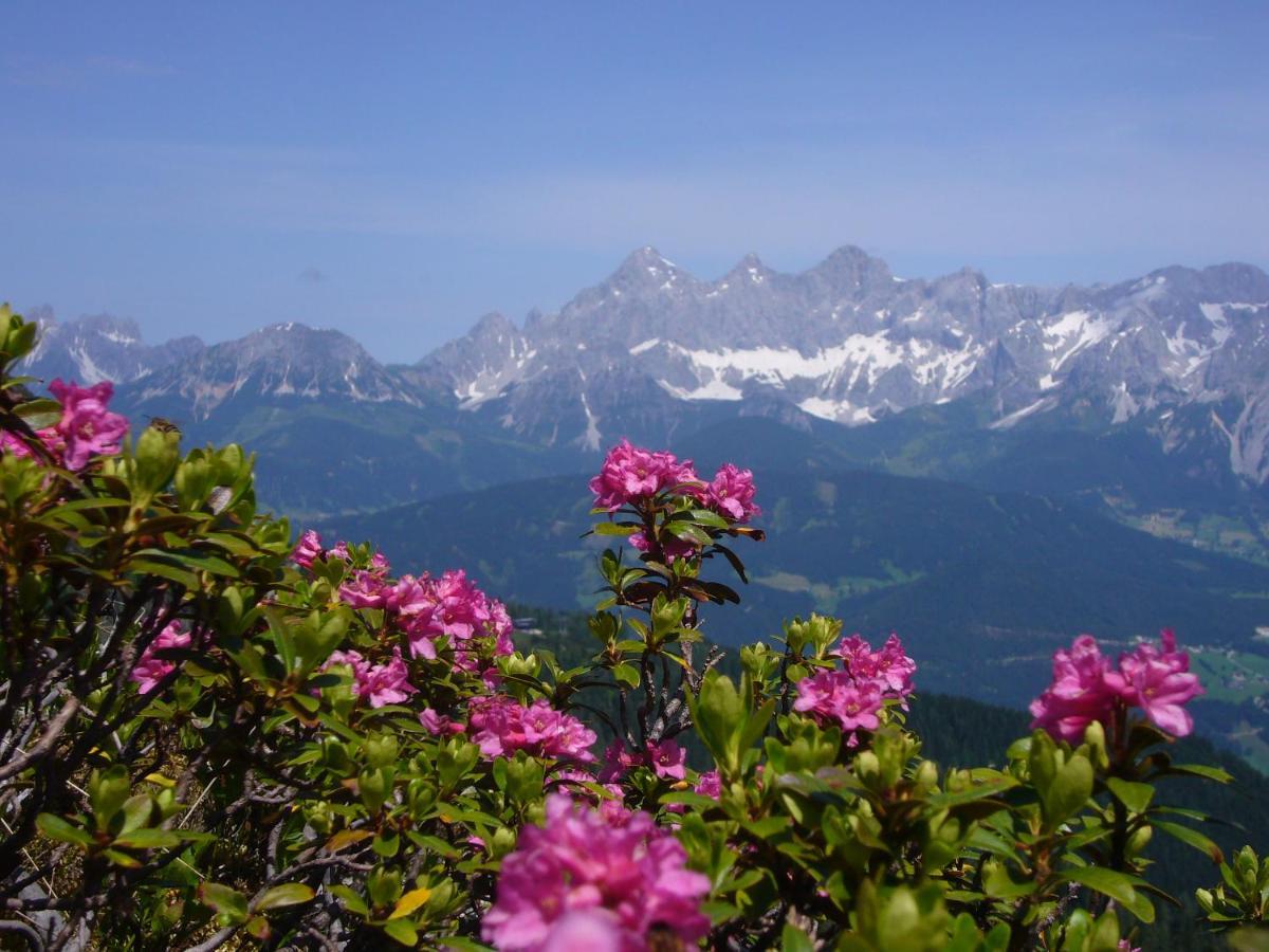 Appartements Wiesbach Ramsau am Dachstein Luaran gambar