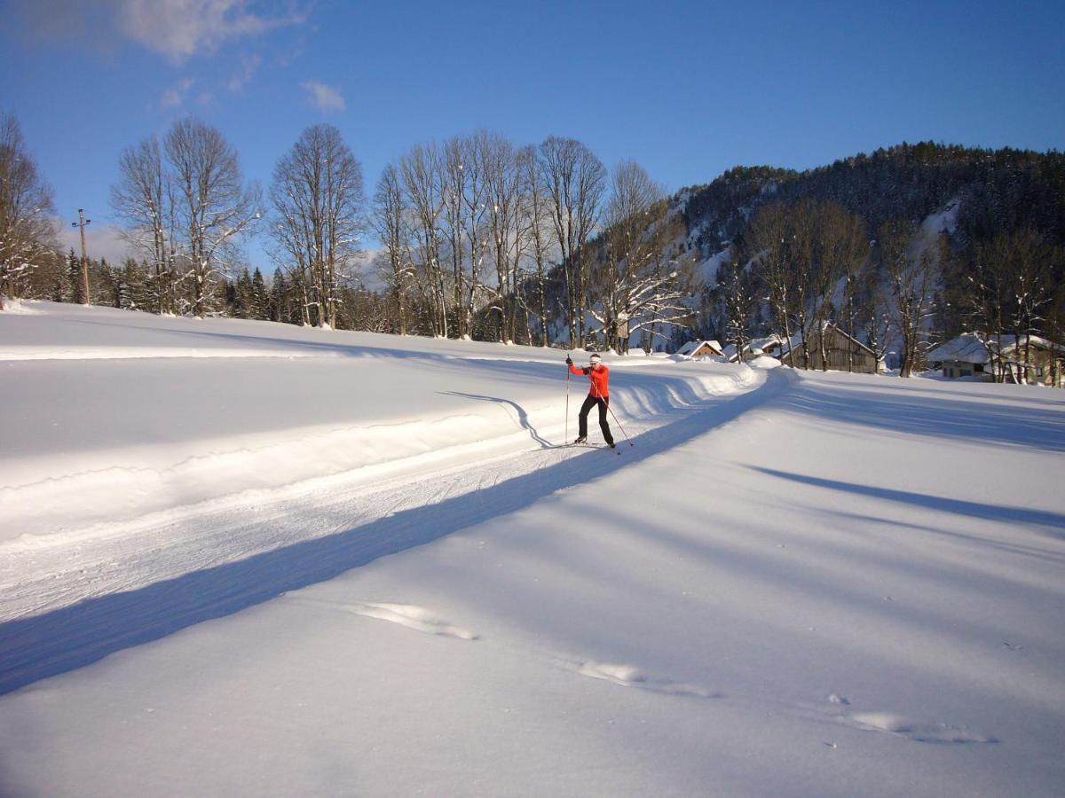 Appartements Wiesbach Ramsau am Dachstein Luaran gambar